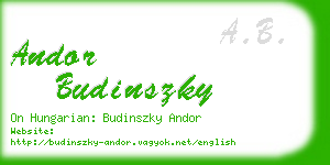 andor budinszky business card